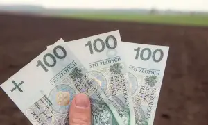 Fundusz ochrony rolnictwa – kto naprawdę płaci i jak to działa?